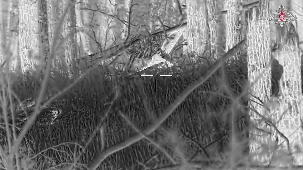 ������� ���������: ������ ������ ��������� ��� �� ����������� �����������