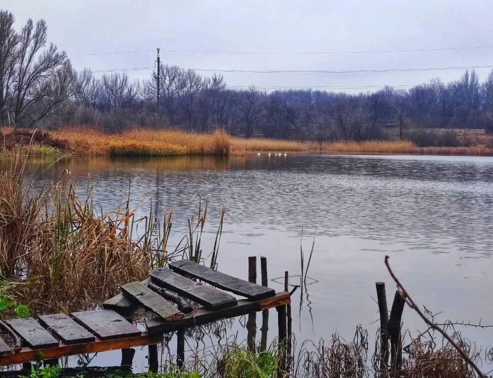 Владислав Ключаров: Хочу поделиться с вами фотографией, которую лично сделал на одном из наших городских водоёмов