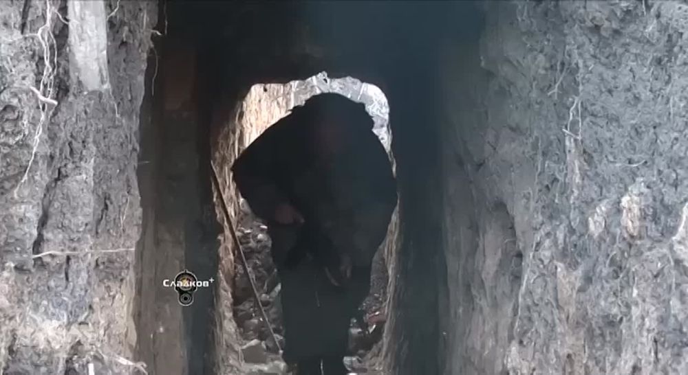 ��������� �������: ���������� ������������ ���� ���� ��� �����