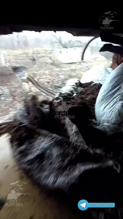 ���� �������: ����� ��� � ���������� ������, �� ������� ����� ����� � 2014-�� ����