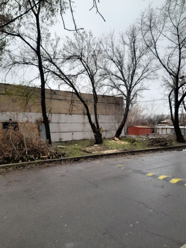 ������� ������: ������ ��� ��� "�������������" ��������� ������������ ���������� ������ �� ��������� ������������, ������ ���� 65�