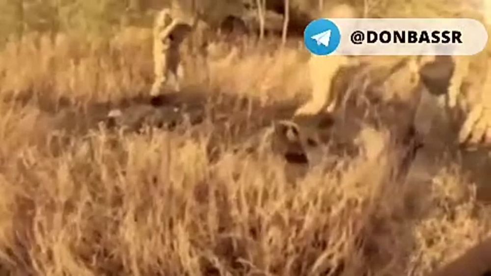 ���� �������� ������������ ����� "������� ������" � ����������� ������� ������������ ��������