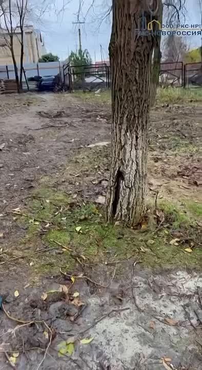 ����������, ������� � �������������� �������� � ���������, ���������� �������� � �������, ������������� ��������