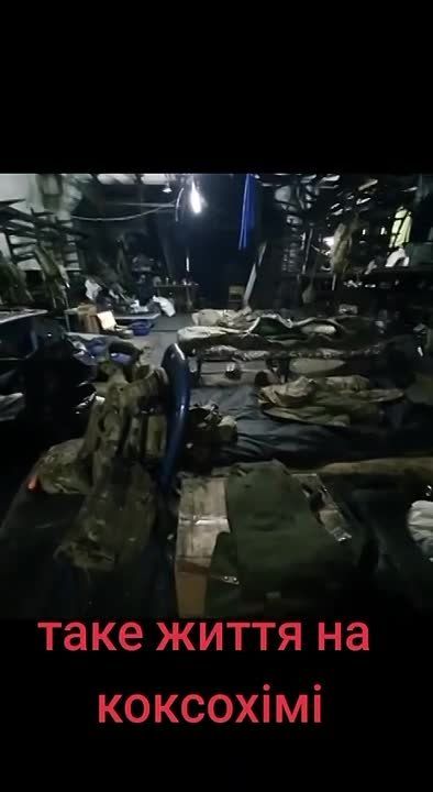 Ольга Курлаева: Авдеевский коксохим. Только выкуривать