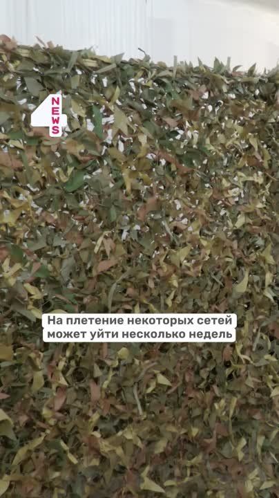 ��������� ������ ������ � ��� ������ ������������� ���� ��� ������
