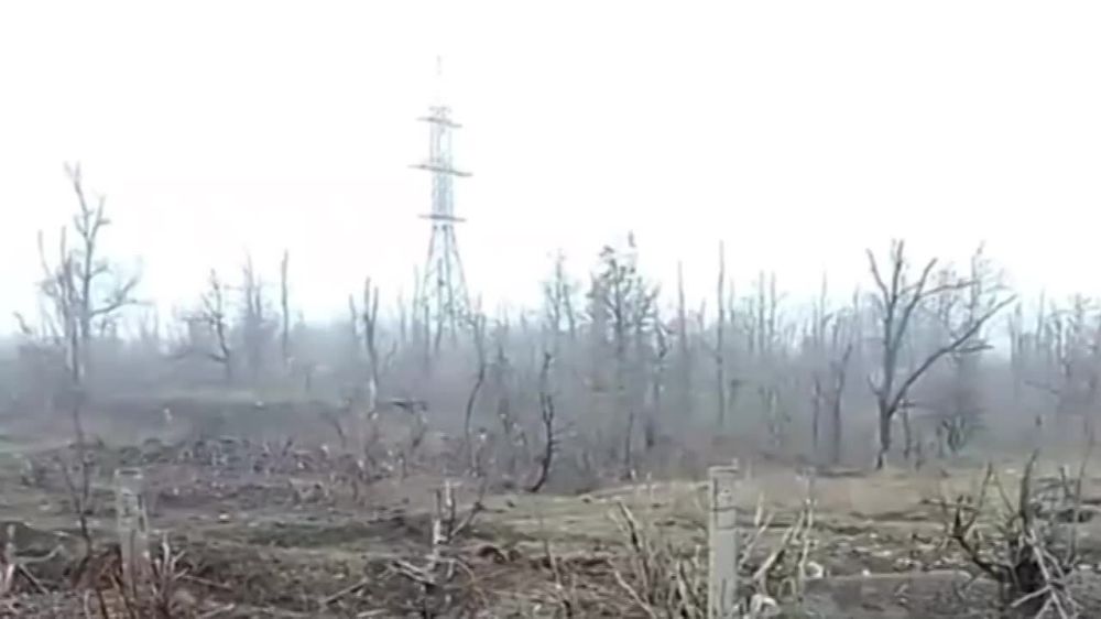 ���� ����� �������� ������� ��� � �������� � ������ �/� ������� ����������-2 �� ���������� �����������