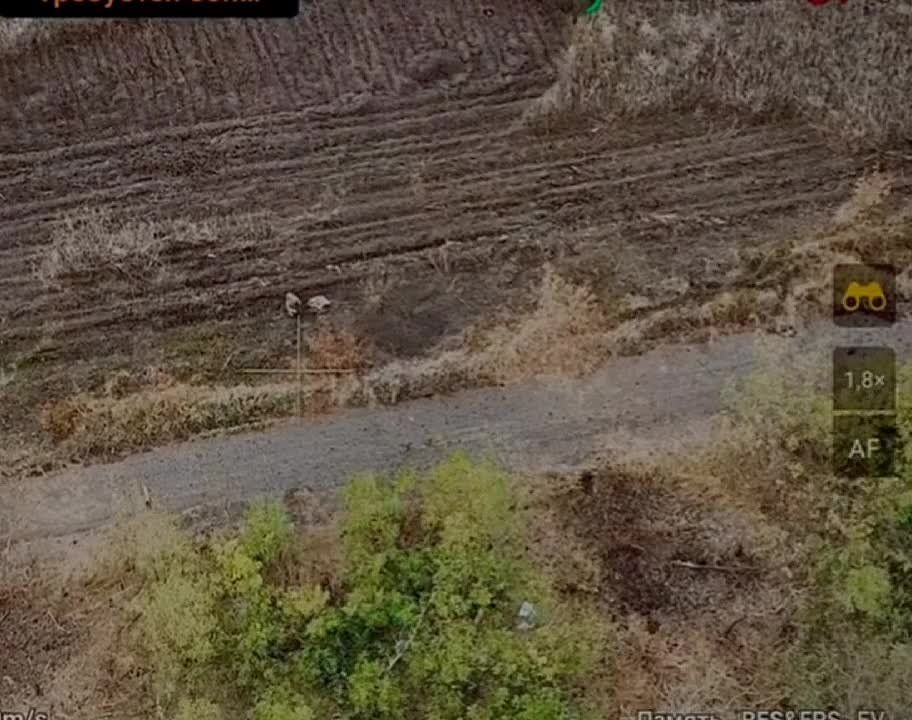 ������ ��� ����������� ������ ���!