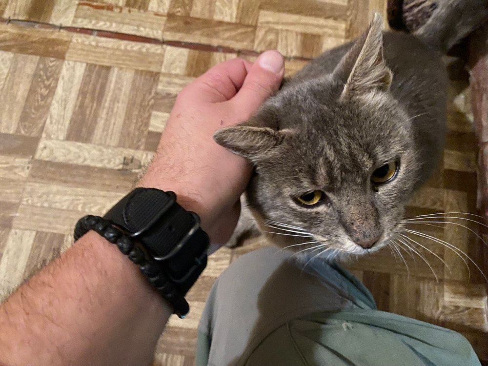 ������� ������: �������� ����� ��������� �������� �������