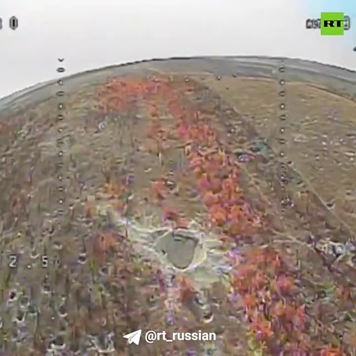 ���������� FPV-���� ������ ������� ��� � ������ ����������� (���)