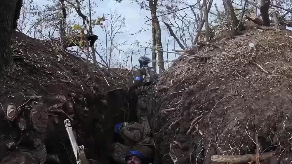 ������� ��������: ���������� � ������ �� ��������