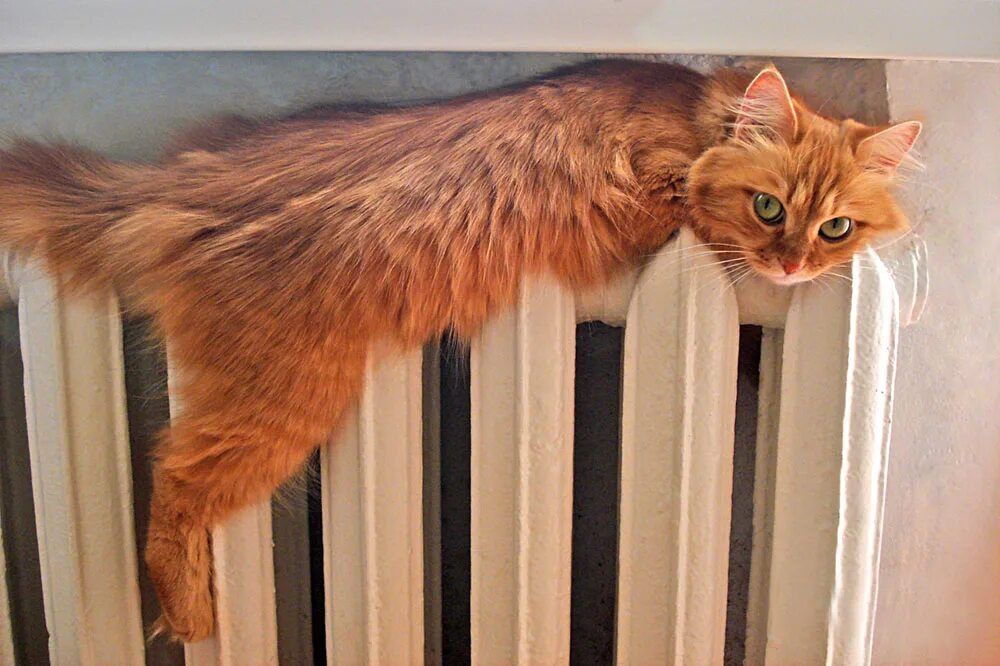 Андрей Чертков: Друзья, с наступлением холодов вижу много обращений по поводу отопления