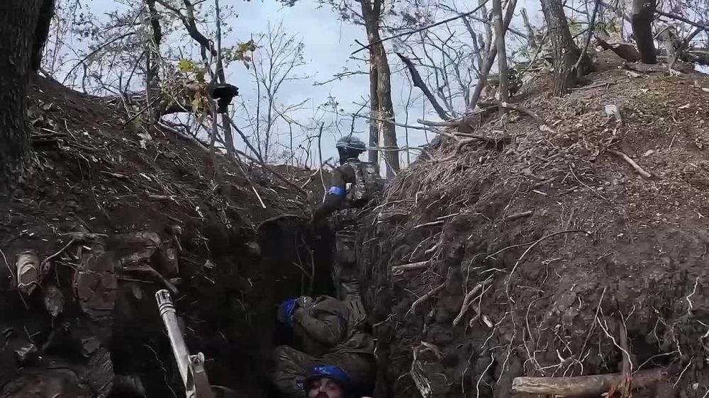 � ������ � �������� ����� "������".