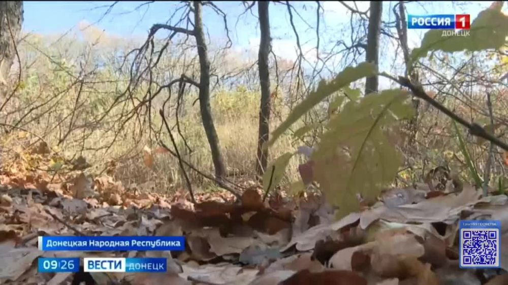 ����� ���������� ���� ������ � ����������-������������� ����� "�������� ����"