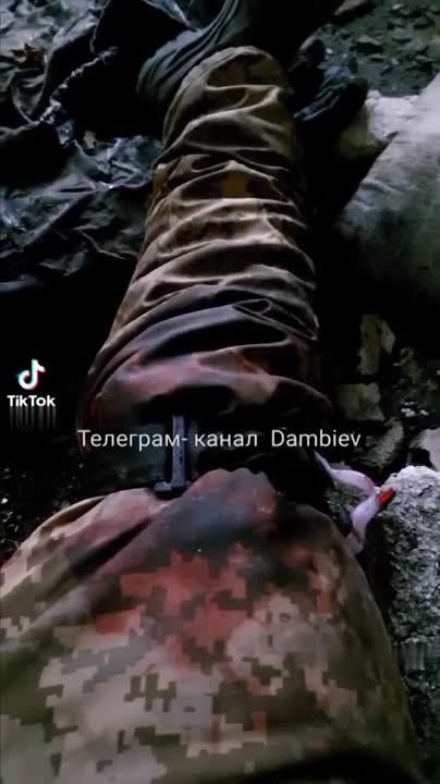 ������ �������: �������� �����. ������� ������ ���������� ������������ ������� �� ����� ������ ���������� ����������� �������� ����������� ��������� ����������� ���-500 � �������� ������������ � ��������� �� ����� ������� �� ���������� �����������