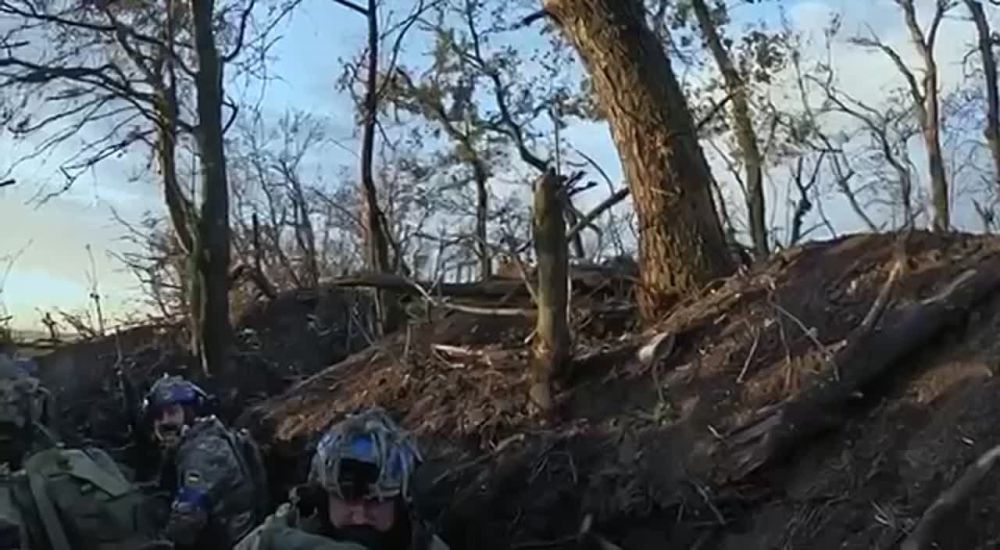 ������ ������ ����� �� ����������� ����� ��� ���������