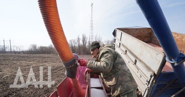 �������� �������� ��������, 23 ������