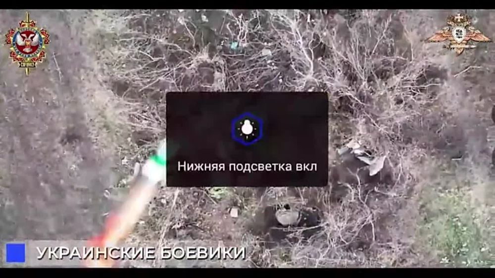 ������� �������: ���������� ������� ���������� ���������� ����� �� ����������� �����������