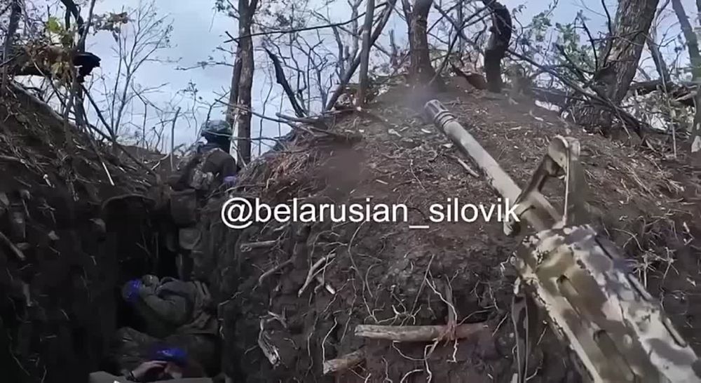 ���������� ���������� �����, ��� ��� ����� ���������, ���������� �������������� ���