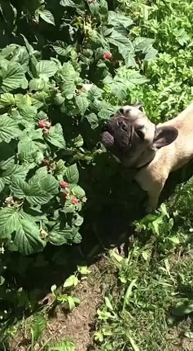 � ������� ������ �� ��������� ��� ��������