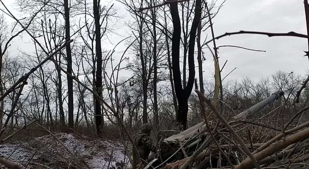 ��������� �������: ���� ��� ����������.. ��� ���������, ��� �� ���� ���������� ������ � ��������� ��������? ��������� �...