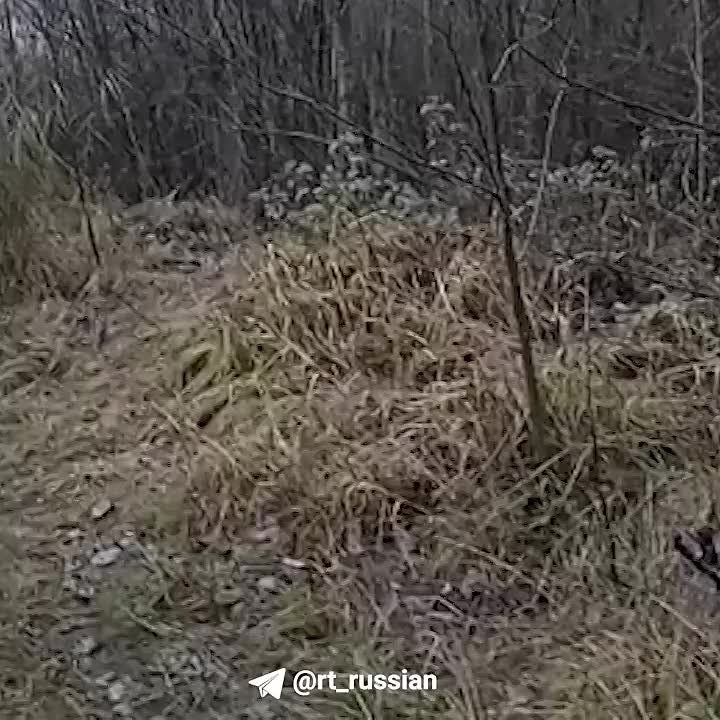 ��������� ����������: ������� ��������� ������ ������ ��������! ��� ���������� ������ ����� ����� ������, ������� �� � �������� ���������