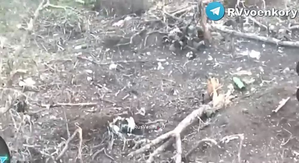 ������� �������: ���������� ������� ���������� ��� � ��������� ������ ���������������