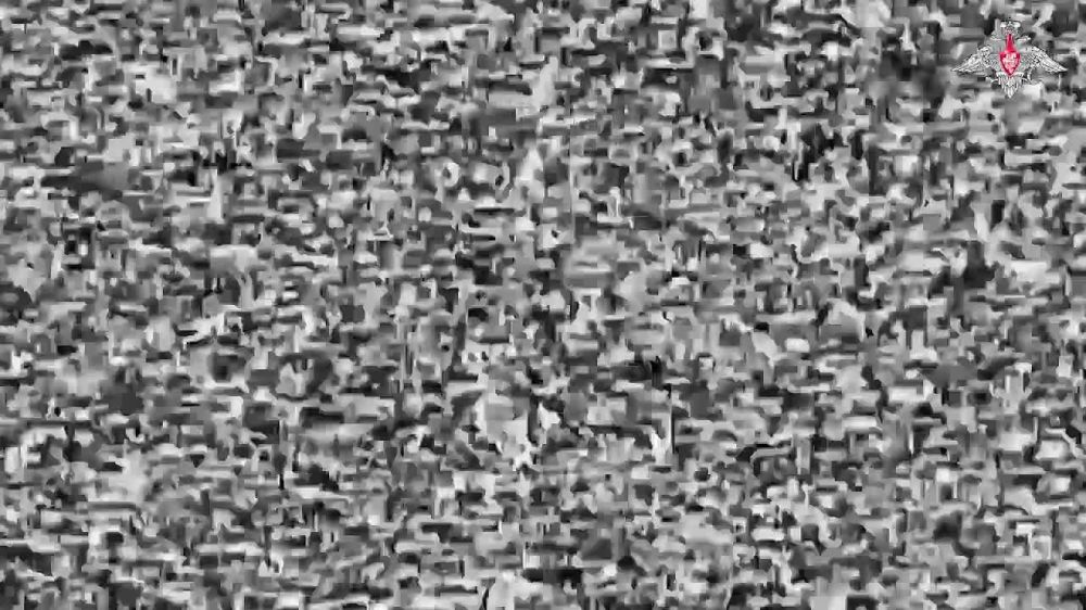 ���� �������: ����������� ����������� - ������ FPV-������ �� ������� ������ ��� � ������ ��������������