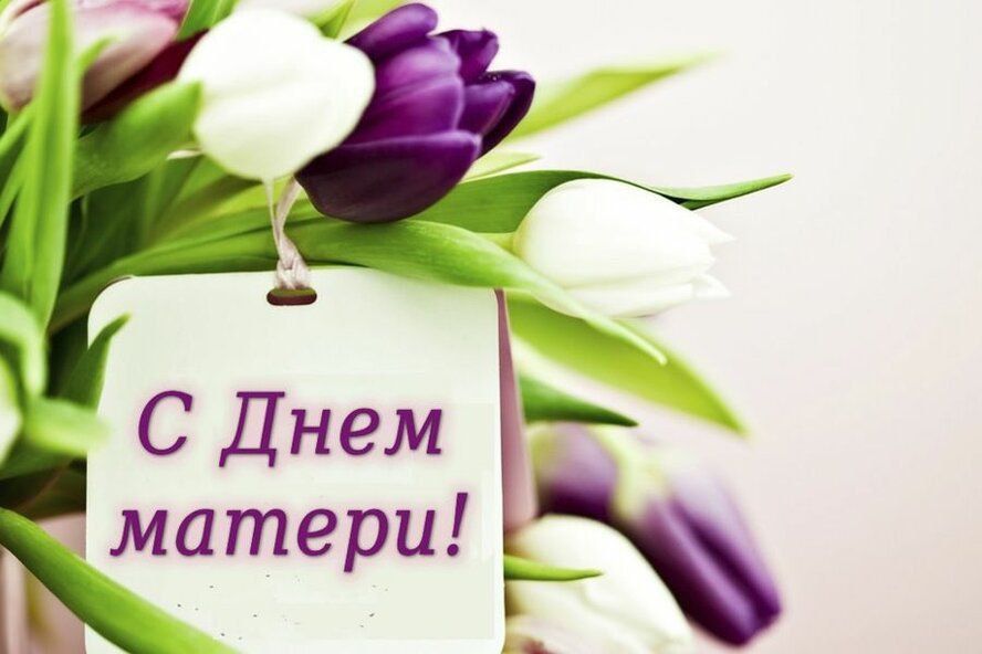 ������� ��������: ����� �������! ������� ����!