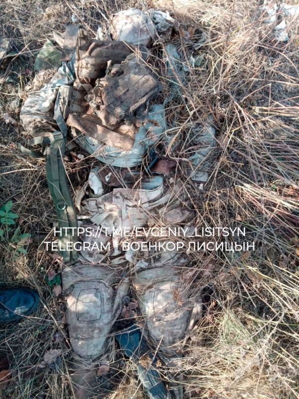 ������� �������: ���������. ������ �� ������ �������� ������� �� ����� ����� �������� � ������ �����-�������� �� ��������� ����������� �������� ���� ��� �������� ���-������