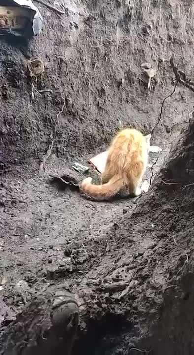 � ���������� ������ � ������ �� ��������