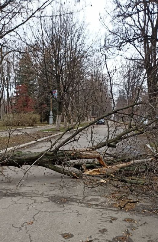 ������� �������: ������������� ��������� ������������ "���������������" ������������� �.������ ������� ������ �� ���������� ��������� �������� ����� ��������������� �������� �������