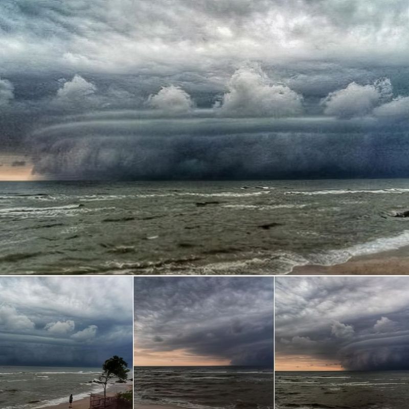 ��������, ������� ����������� � ��������� ������� � ��������� ����� ��������� � ����������� �������������� ������