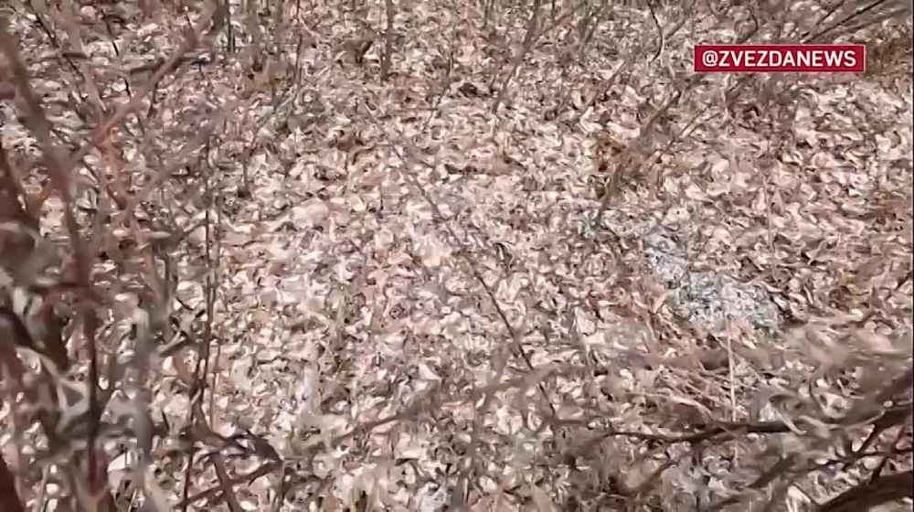 ������� ������ ������� �������� ���� ���������������� �������� � �� ���� ����� �� ����� � ����� ����