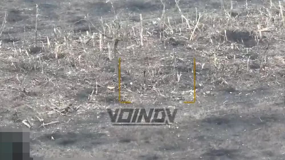 ������� �������: ������������ ����� ���������� ����� � � ��������������� �� ����-�������� �����������