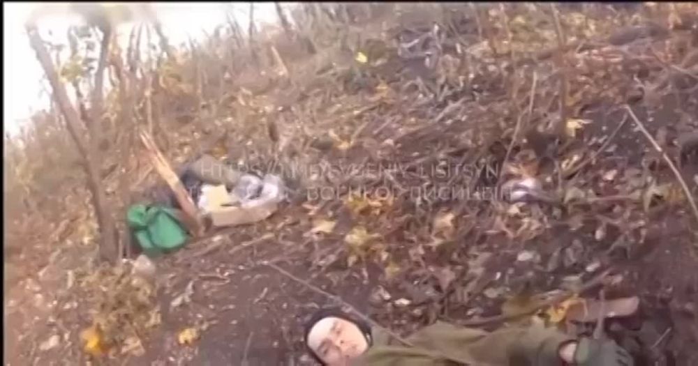 ������� �������: ���������� ����� �������� ����� �� ������ ���������, �� ������� ���������� ��� ����������� �������� ���-������ � ���� ���, ����� ���� ��� �� ������� ���� ��