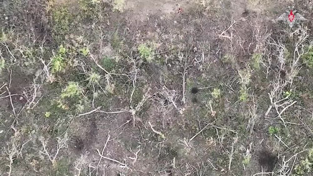 ���������� ���������� ����� ��� �������� ������� ����� ��� ��� �����������