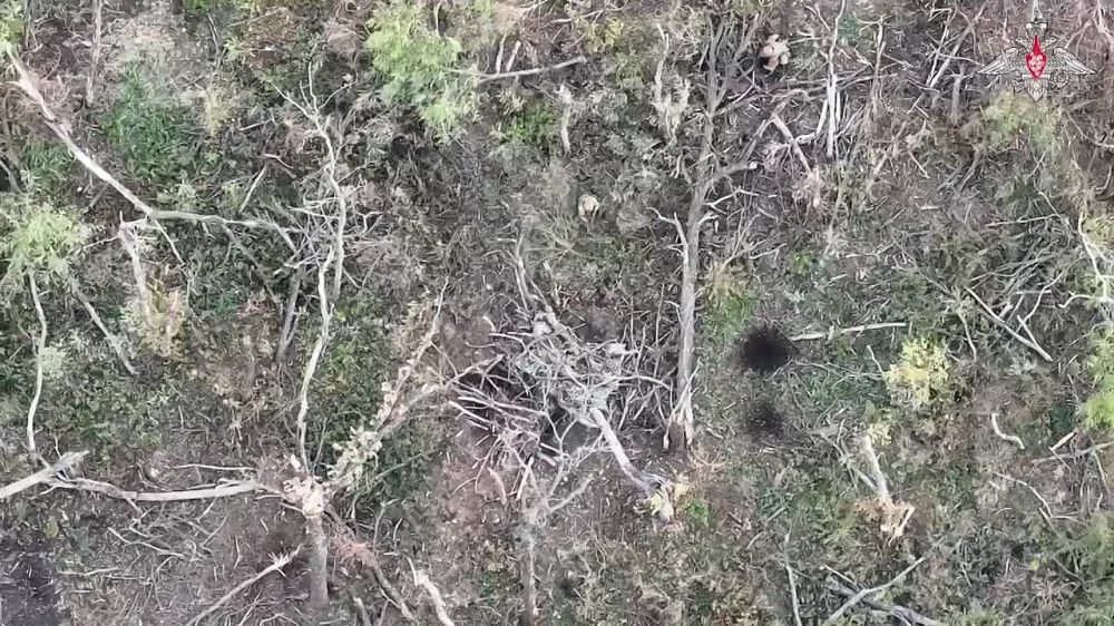 ������ ��������� ������ ��� �� �� �� ���������