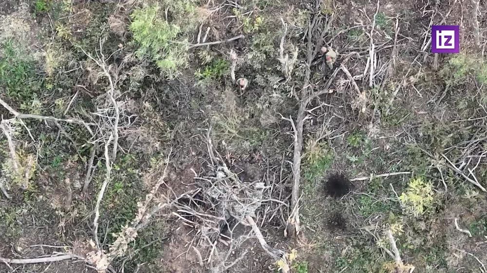"�� ��������� ������� �����������": ������ ������������ ���������� ��� ��������� ������� ����� ��� �� ����������� �����������