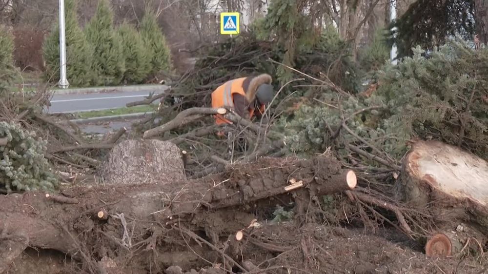 ������������� ��������� ��������� ����� �� ����������� ������