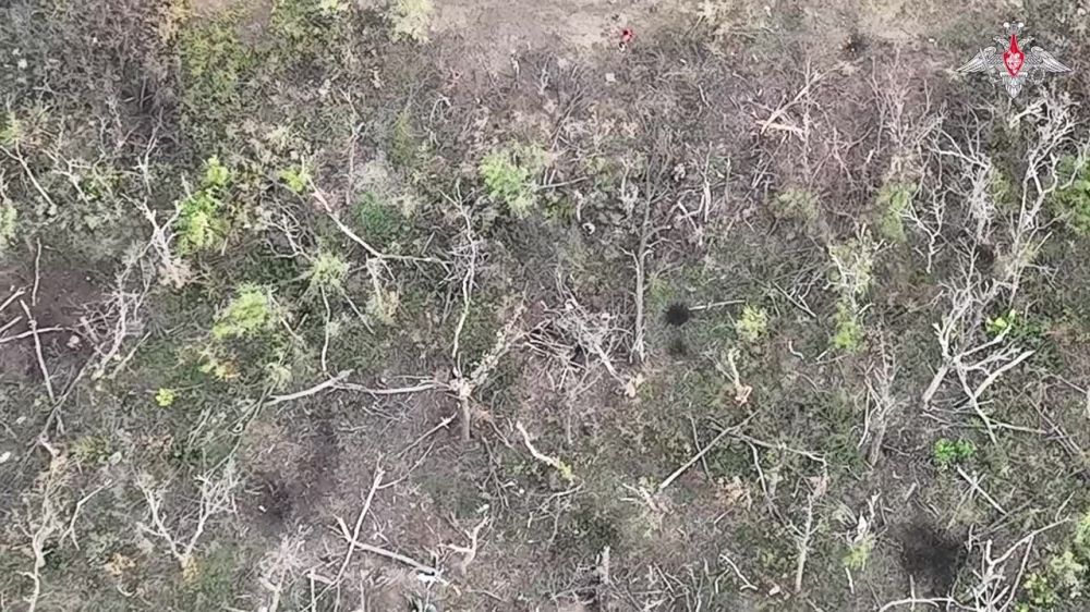 ������ ����� � ������������ �����������: ���������� ����� ������� ��������� ������� ���