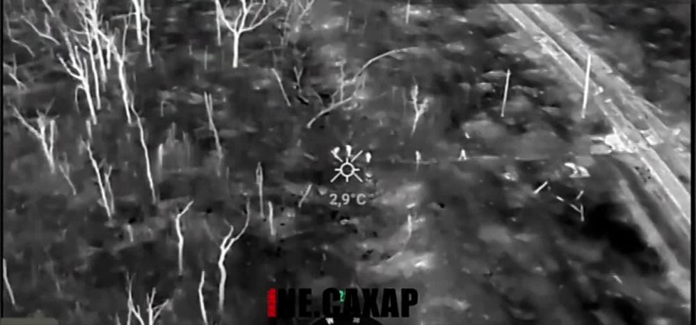 ����� ������ ����� ������ � ������ ���������