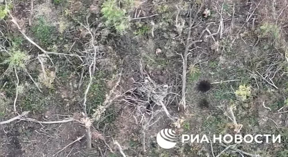 ������ �������: ���������� ���������� ����������� ����� � ���� ������� ��� � ������ �� ����������