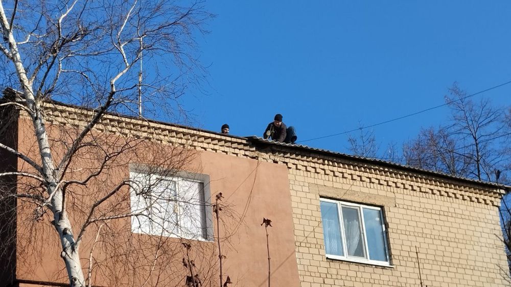 ��������� �����: � ��������� �������� ��� ����������� ����������� ��������
