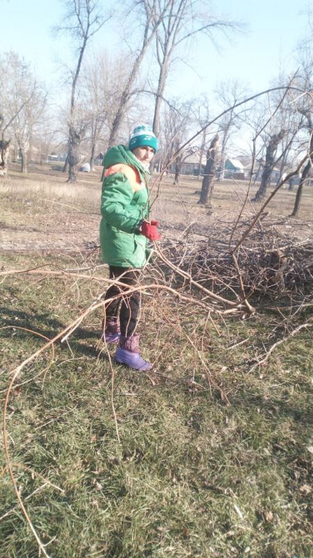 ���� �����������: �������, 28 ������, ������ ������������ ����������� ������������ ������ �� ���������� ��������� �������� �������: ������ ����������� ��������, ���� �����