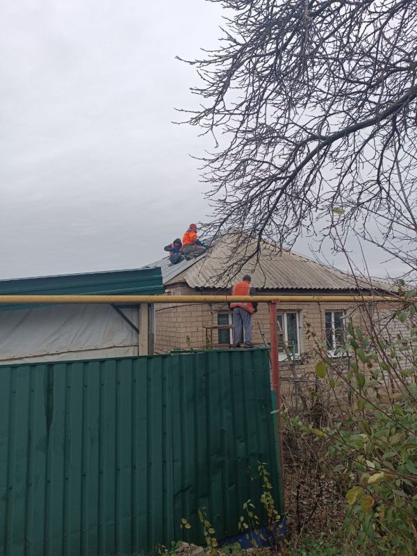 ������� ��������: ����������, ��. ������������