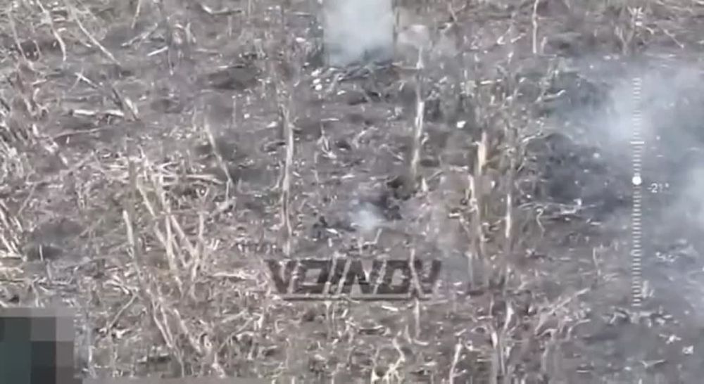 ���������� ������� ������ ������� ����� ��� � ������ ���������� ������ �������������� � ���