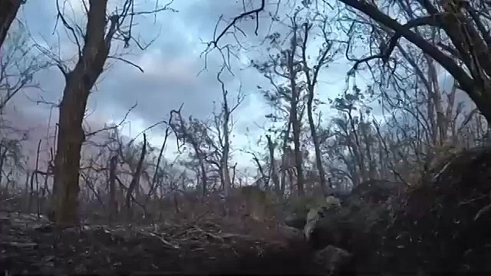 ����� �� ���������� ������� ��� ��������� �� ���� 47-� ���������� ���