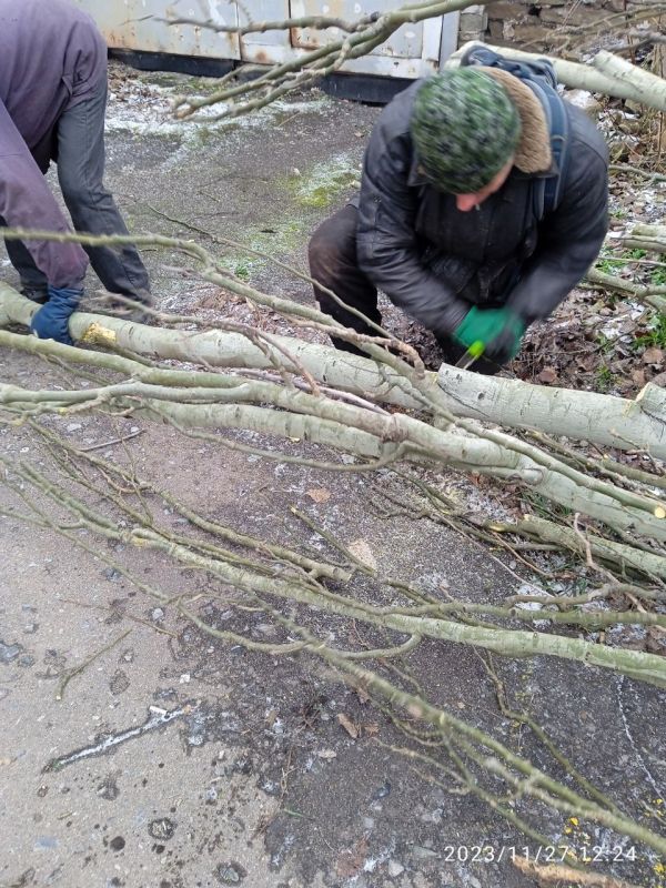 ����������� ��� "������������" ������������ ������ �� ������ � ������� ��������, ������� ���������� ��������������� �������� �������, �� �������� �����, ���������� ����������, � ����� �� ����� ��������������