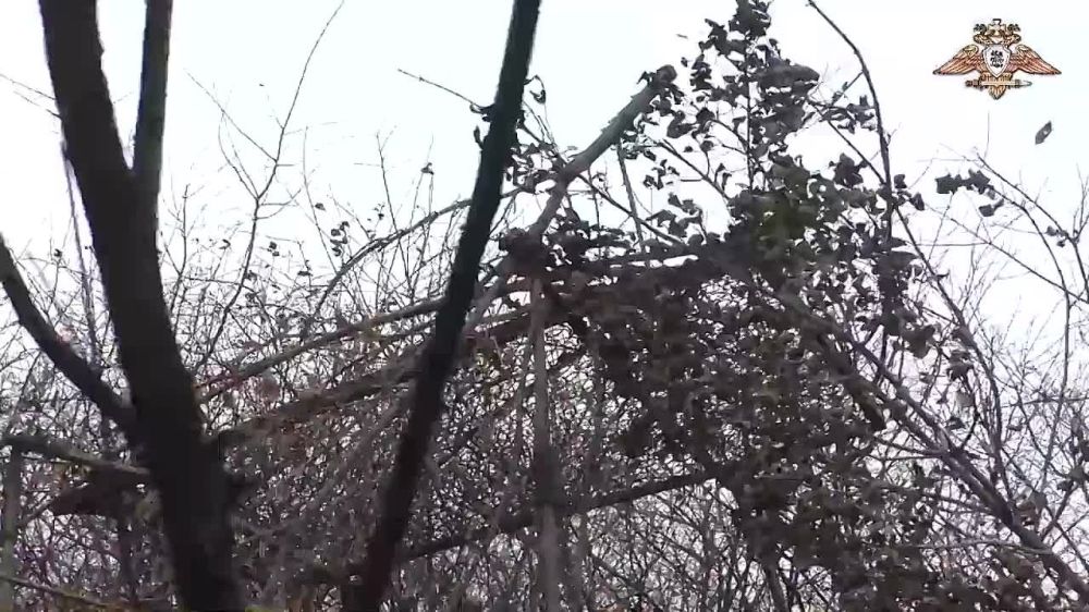 ���������� 132-� ������� �������� �� ���������� � ������ ����������