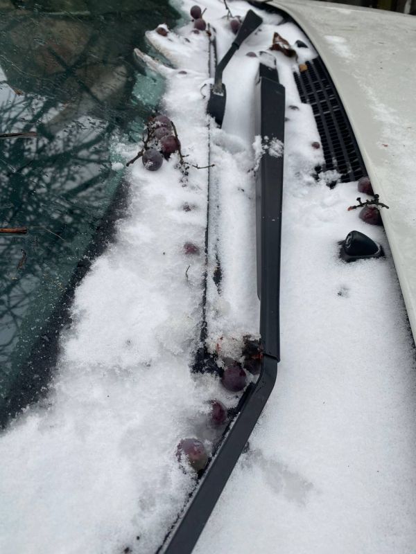 ������� ������: �������� ��������, ��������� ������ �����